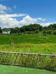 田園風光綠野藍天美景