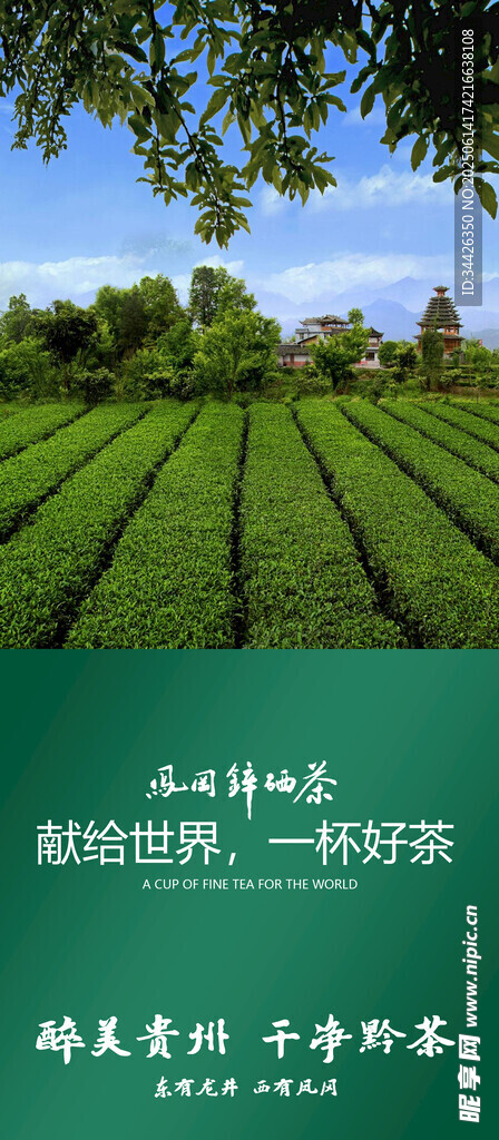 廣告綠色 綠茶 黔茶 貴州茶葉