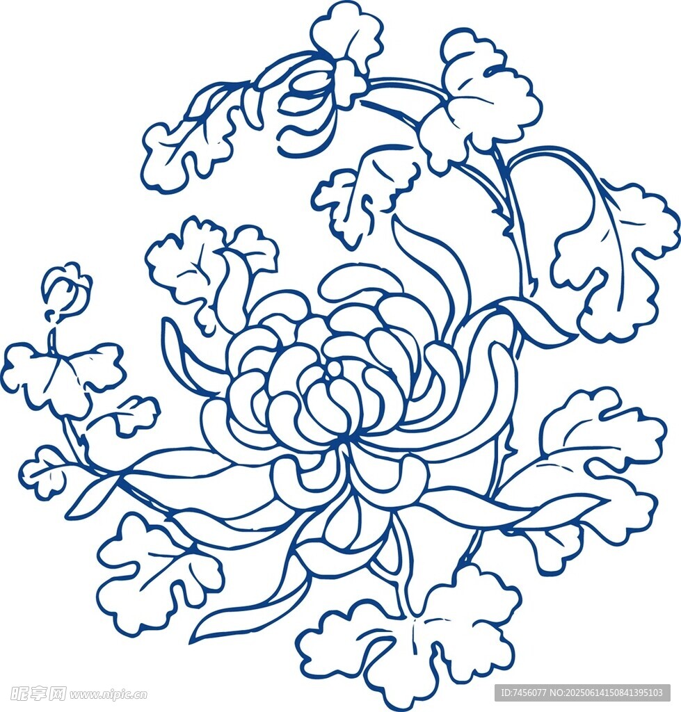 中式菊花花卉紋樣圖案
