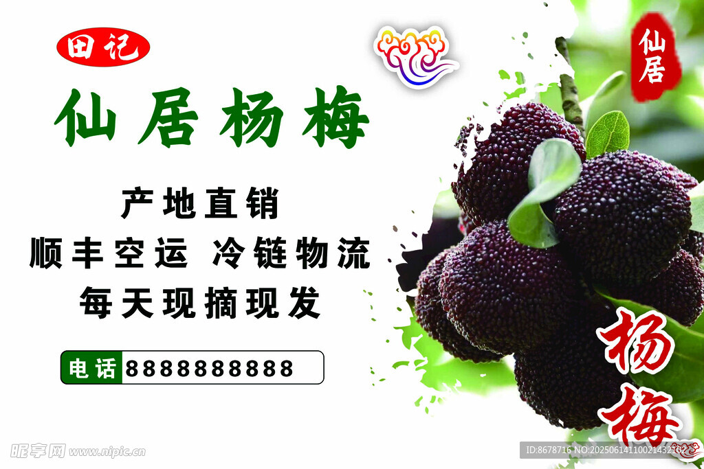 仙居楊梅產(chǎn)地直發(fā)