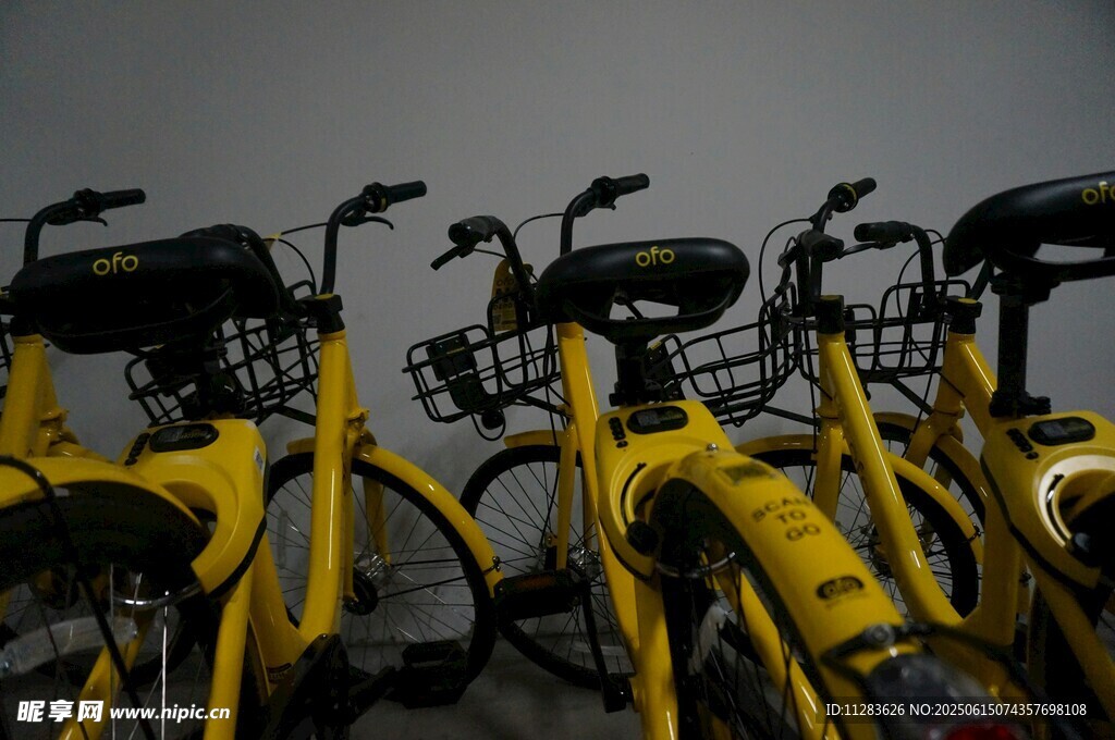 一排整齊的黃色共享單車