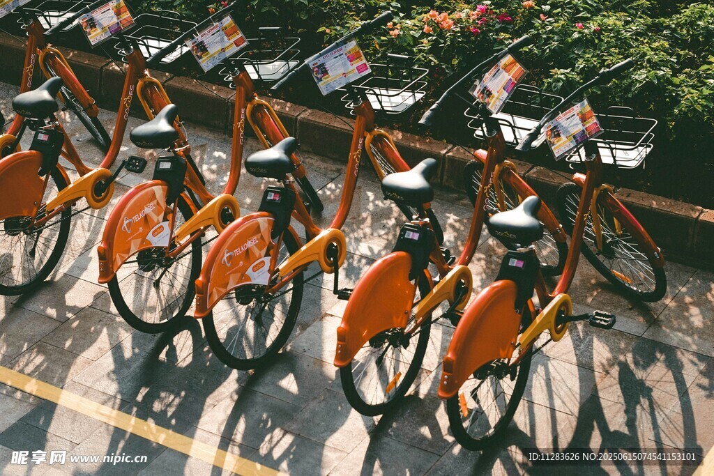 整齊停放的共享助力自行車