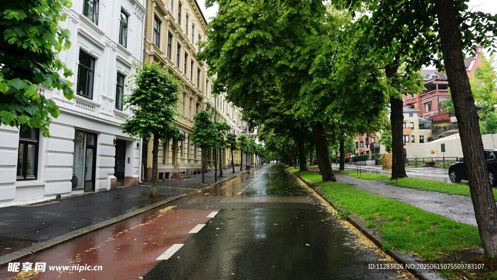 雨后街道的清新景致