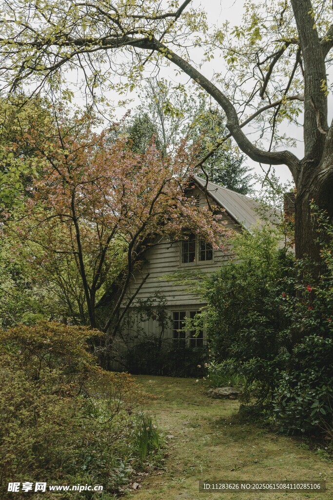 林間小屋