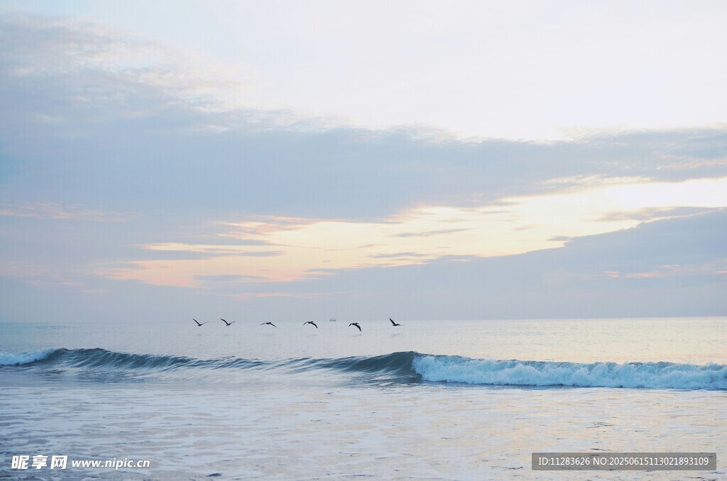 海邊日落時分的海浪飛鳥