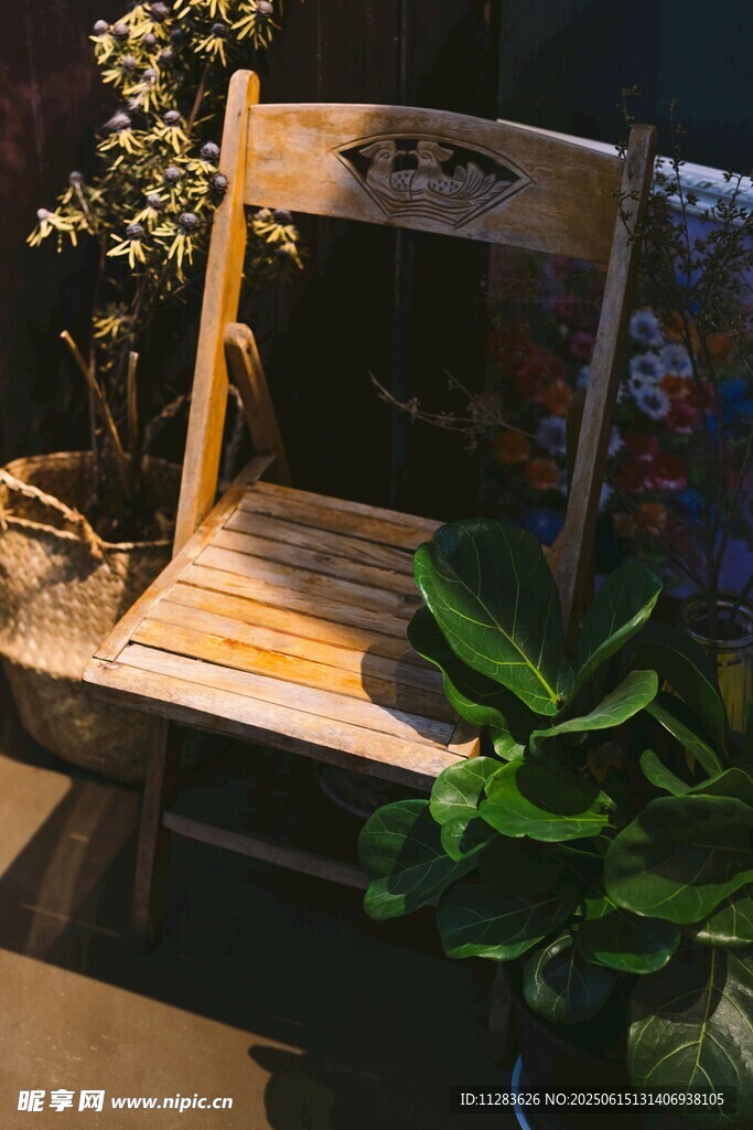 木質座椅旁的綠植景致