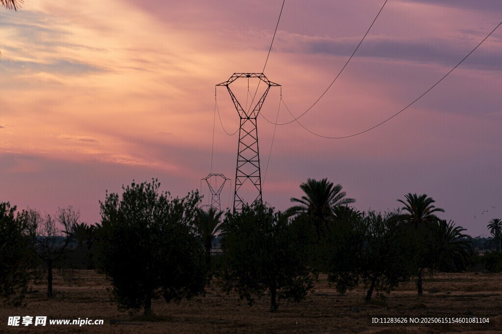 夕陽下的輸電塔與樹林