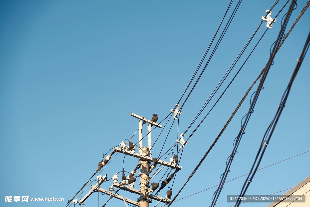 電線桿上交錯的電線
