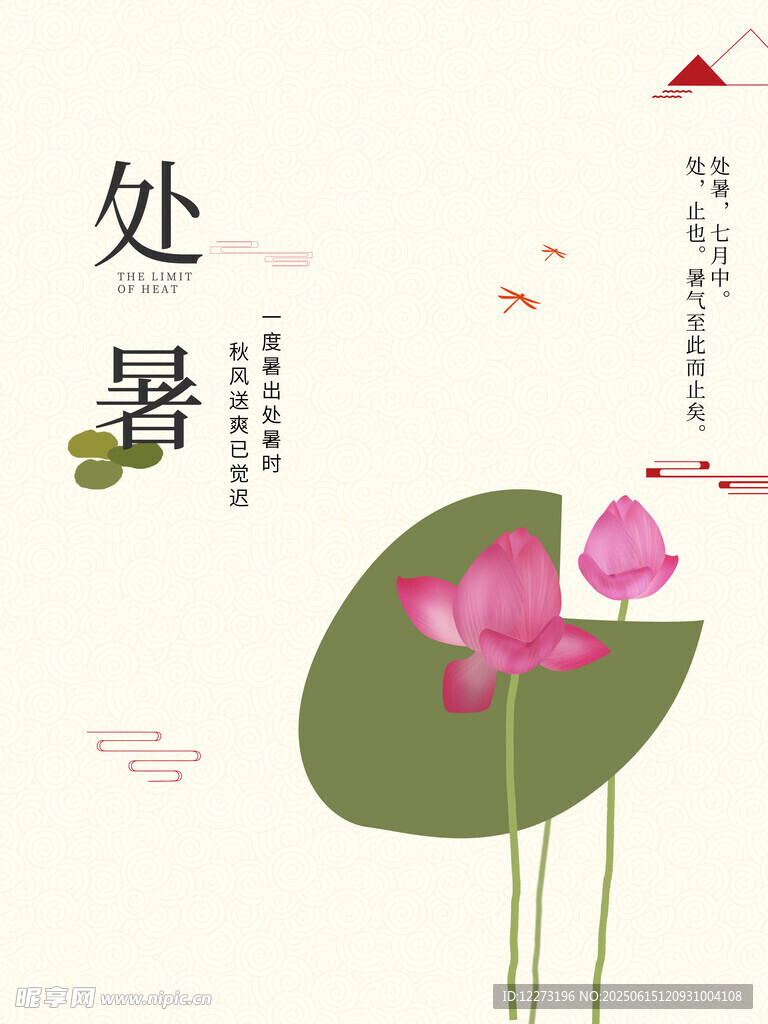處暑時節的荷花美景