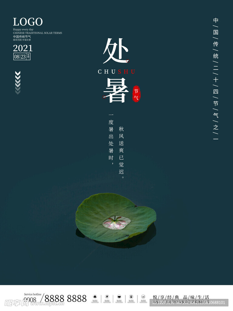 處暑時節荷葉露珠景象