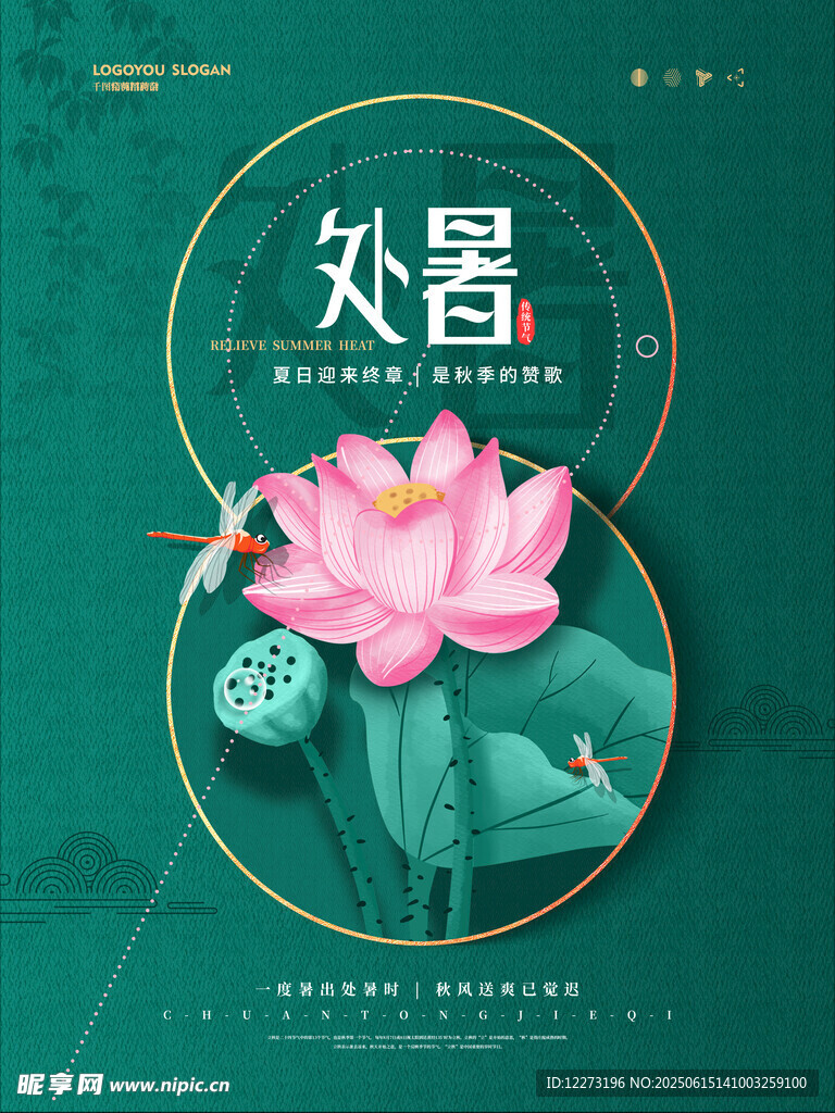 處暑時節荷花綻放