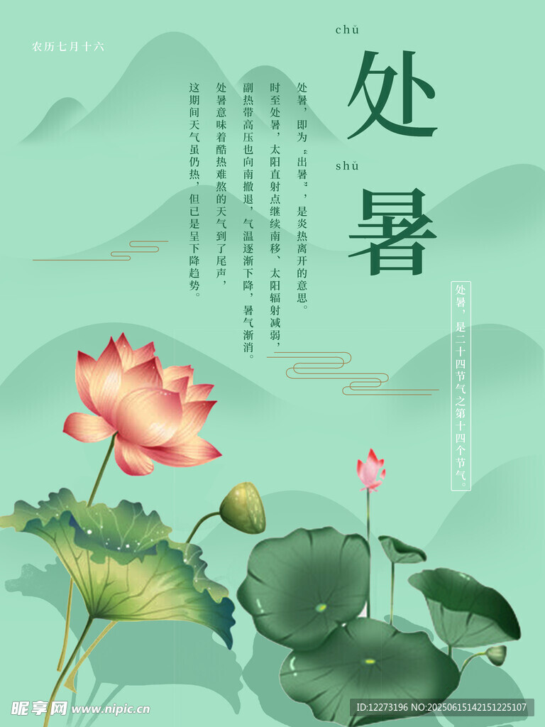 處暑時節荷花綻放美景
