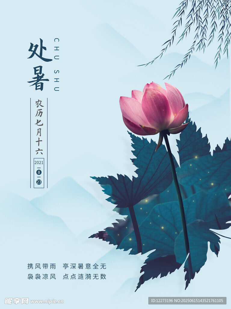 處暑時節綻放的嬌艷荷花