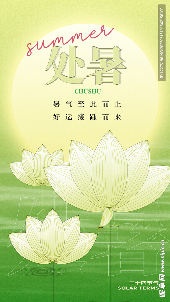 處暑時節的清新荷花圖