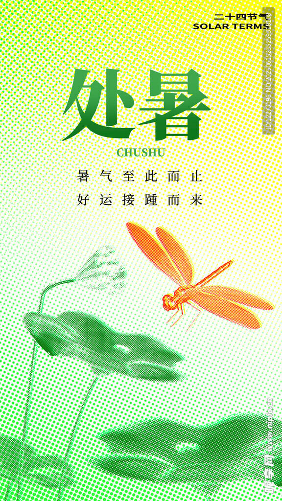處暑時節蜻蜓立荷葉