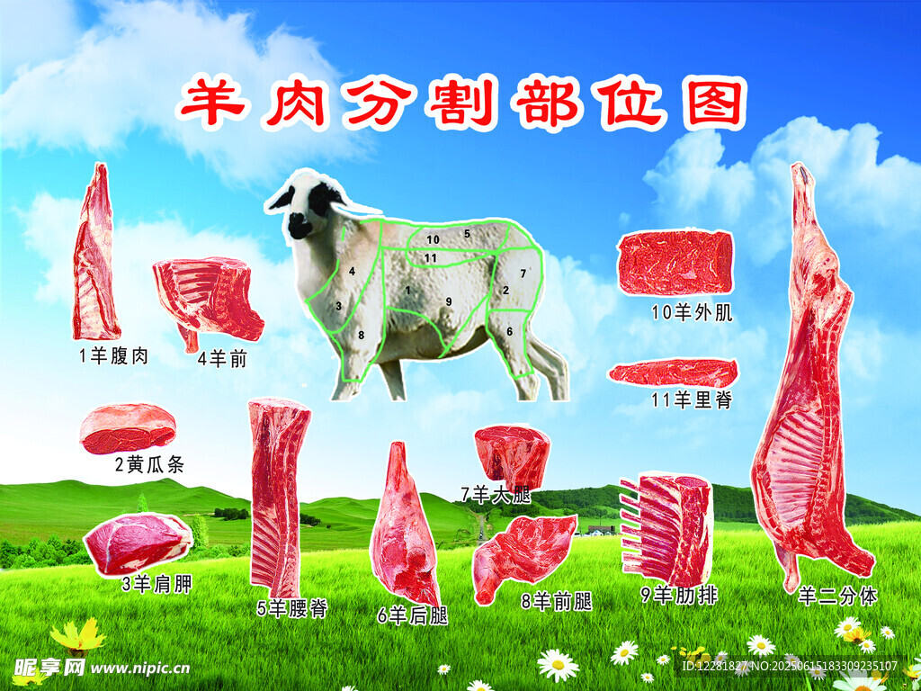 羊分割部位示意圖
