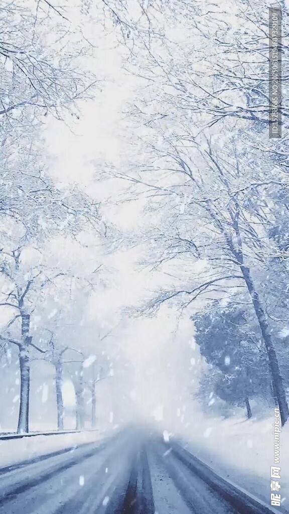 雪覆道路冬日靜謐之景