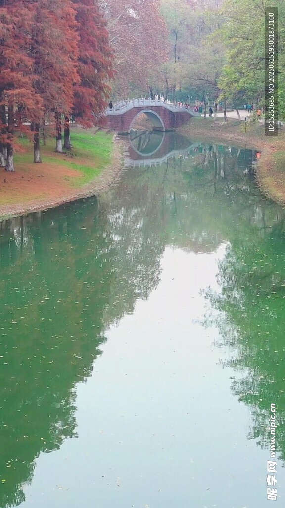 秋日河畔美景