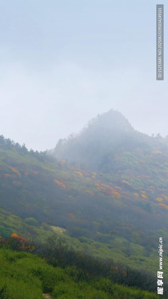 山間云霧繚繞的翠綠景致