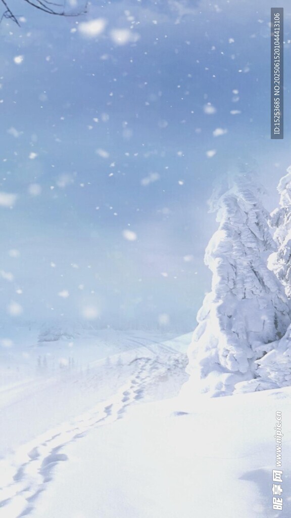 冬日雪景中的孤樹
