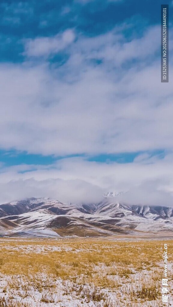 雪覆原野的壯麗自然景觀