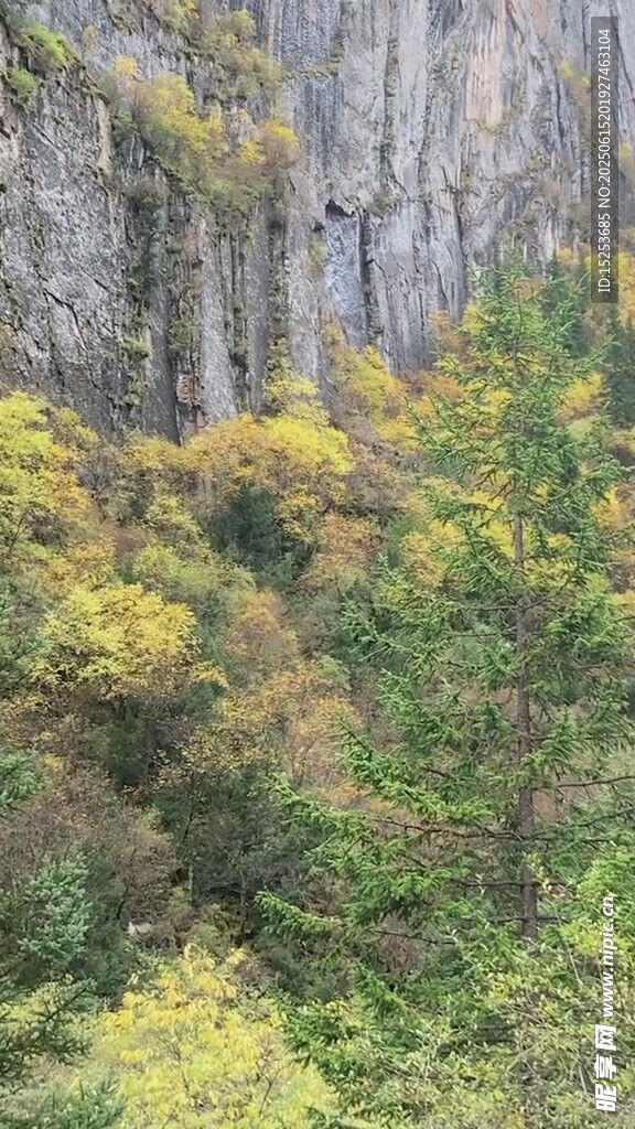秋日山林斑斕景致