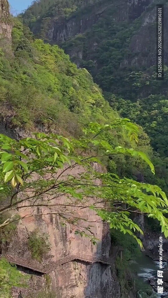 山間峭壁綠植生機(jī)盎然