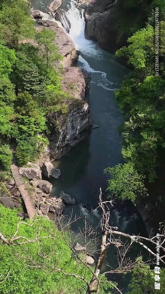 山間溪流穿林而過