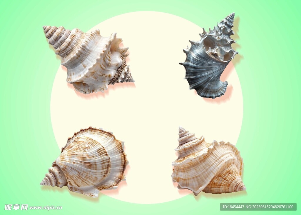 海螺素材
