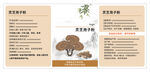 靈芝主題