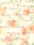 田園風(fēng)花卉
