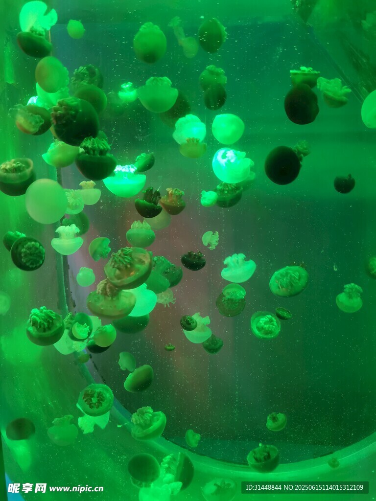 綠色夢幻泡泡微觀景象