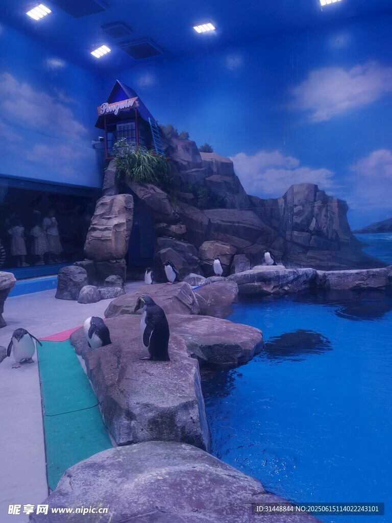 海洋館內(nèi)的精彩水下景觀
