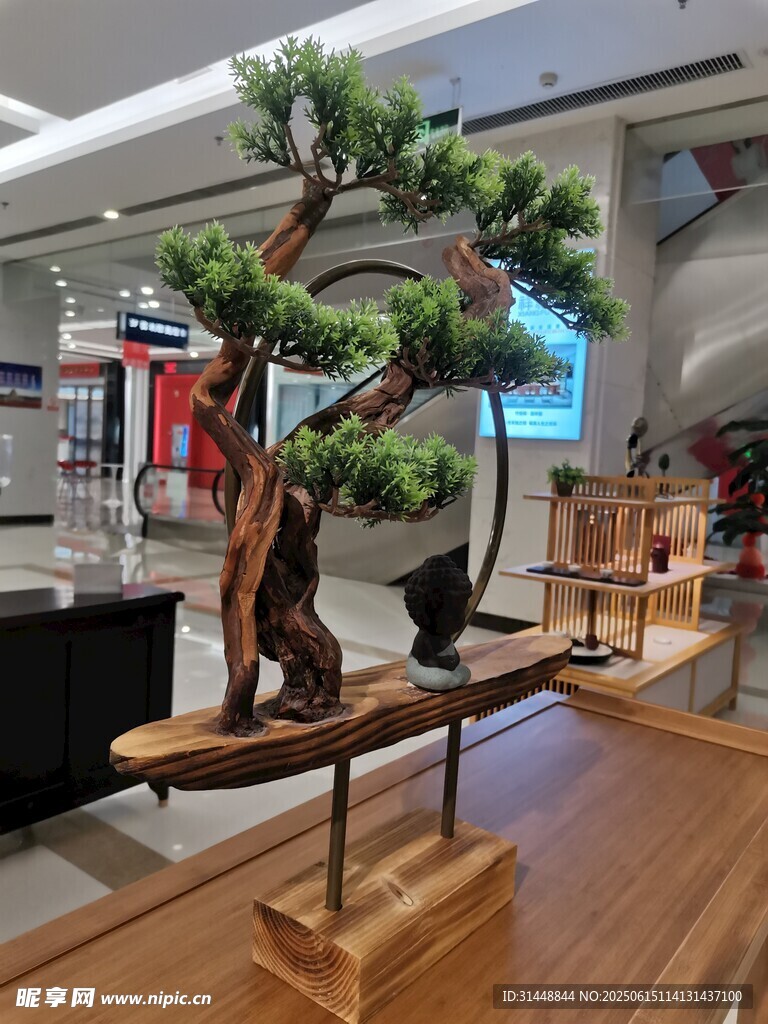 室內精致盆景擺件展示