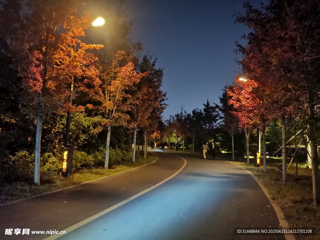 秋夜靜謐的林蔭道路