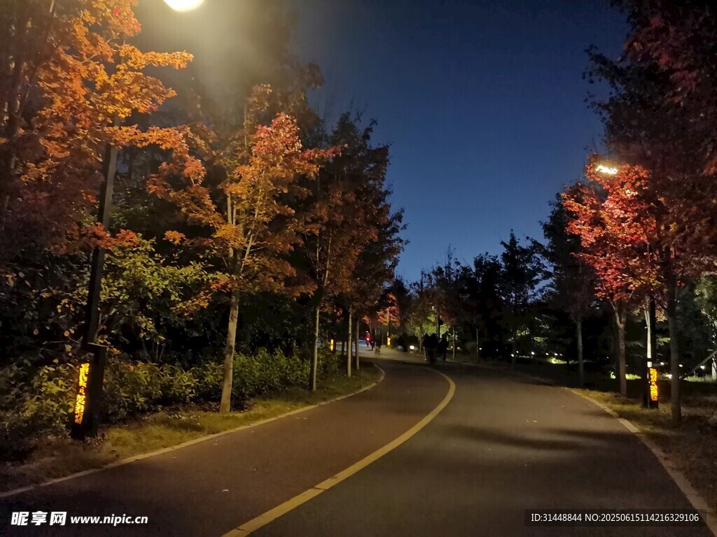 秋夜街道美景
