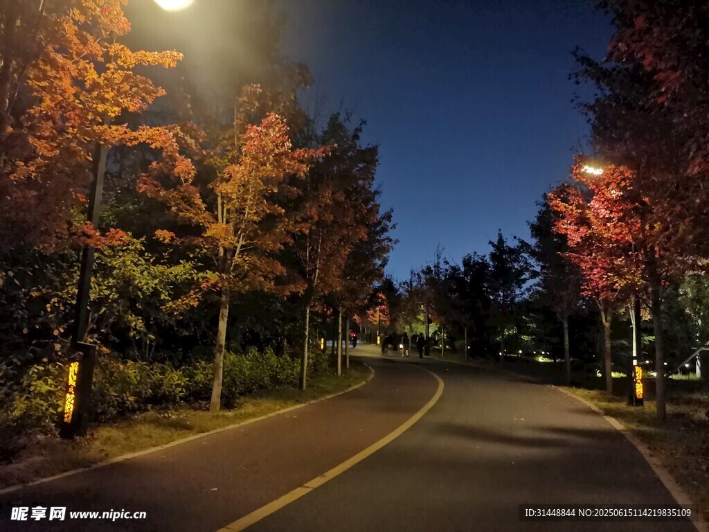 秋夜街道美景