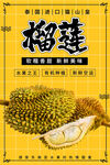 榴蓮 
