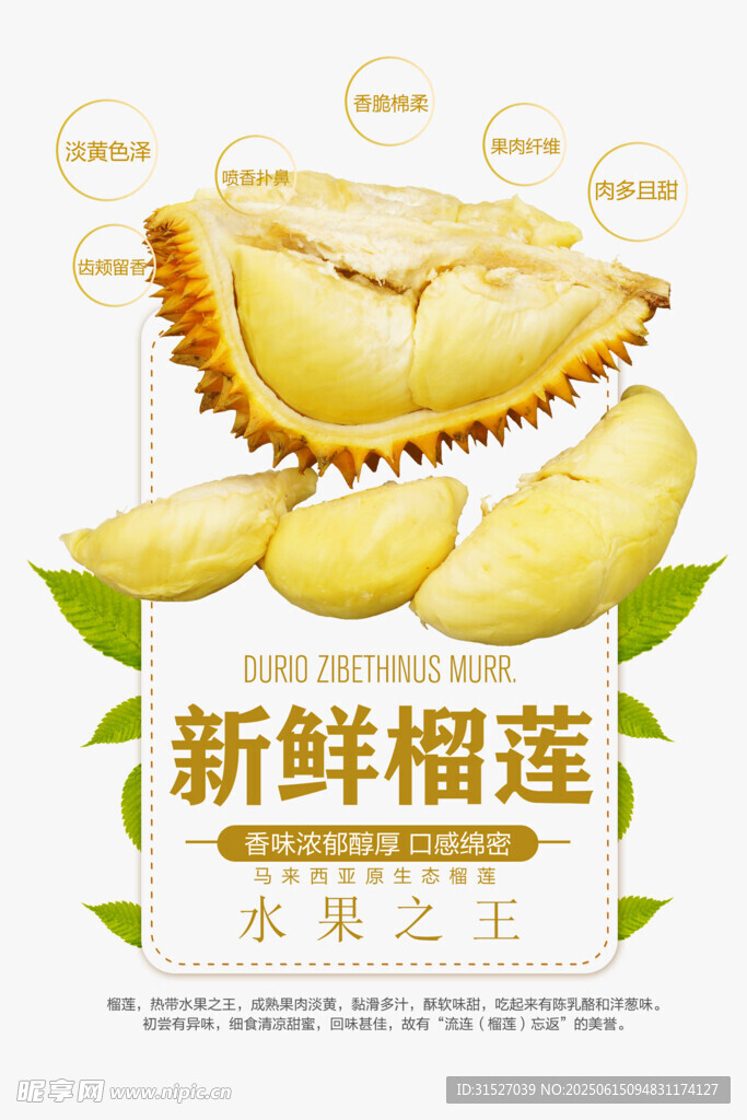新鮮榴蓮