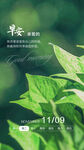 早安