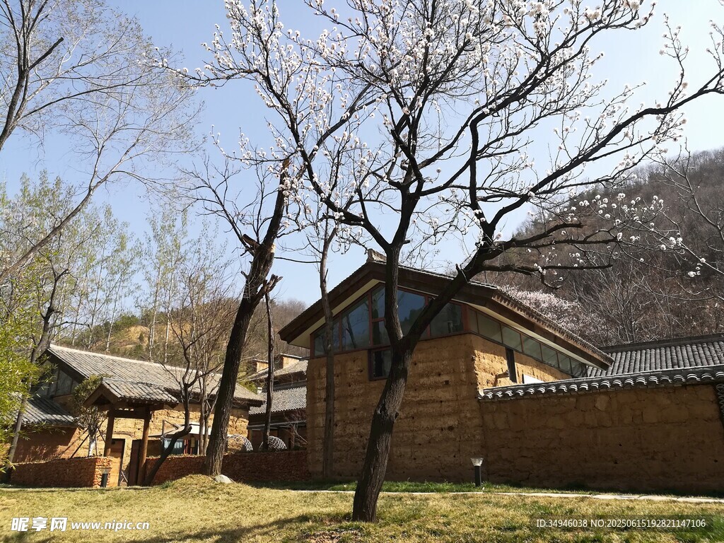 鄉村古樸小屋與光禿樹木