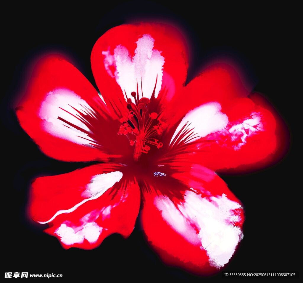 紅色花朵特寫