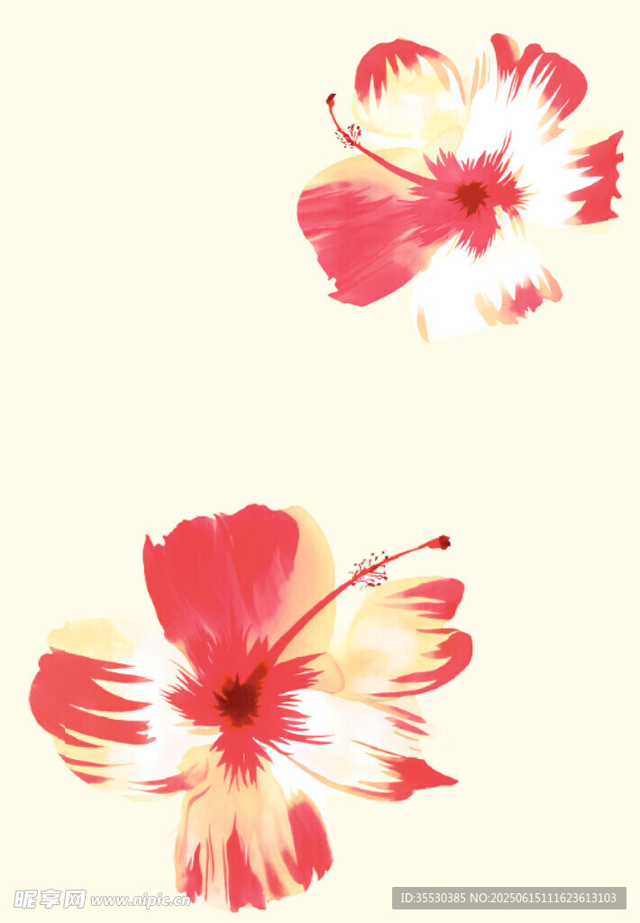 兩朵絢麗扶桑花圖案