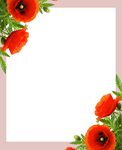 花卉展板