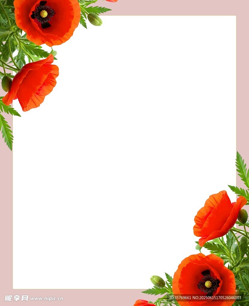 花卉展板