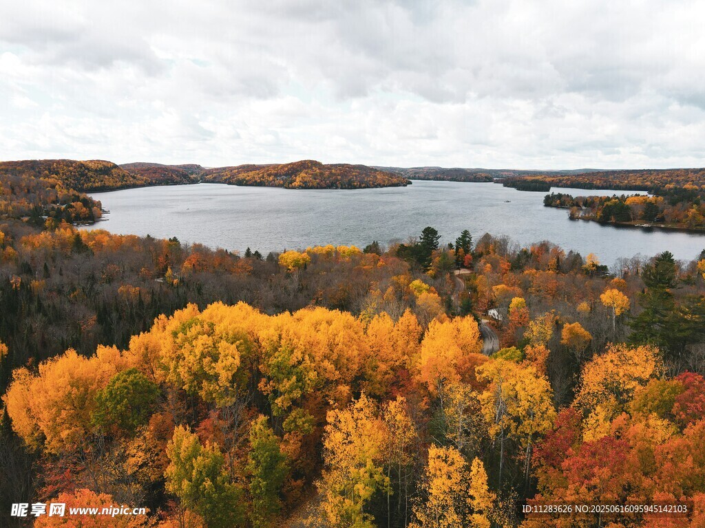 秋日湖畔斑斕樹林美景