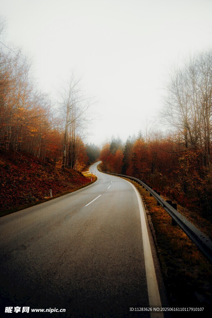 秋日蜿蜒公路美景