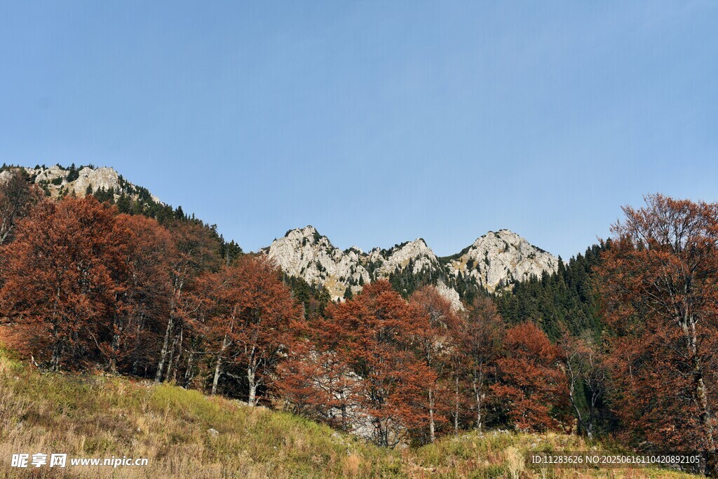 秋日山林美景