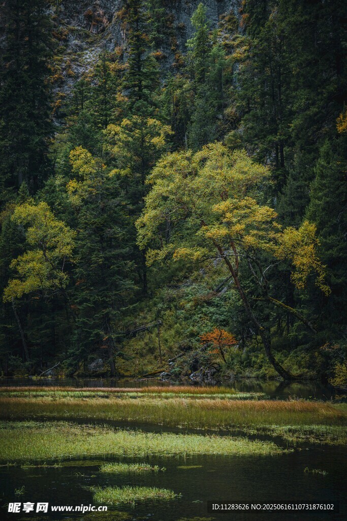 山林湖畔的靜謐自然景致