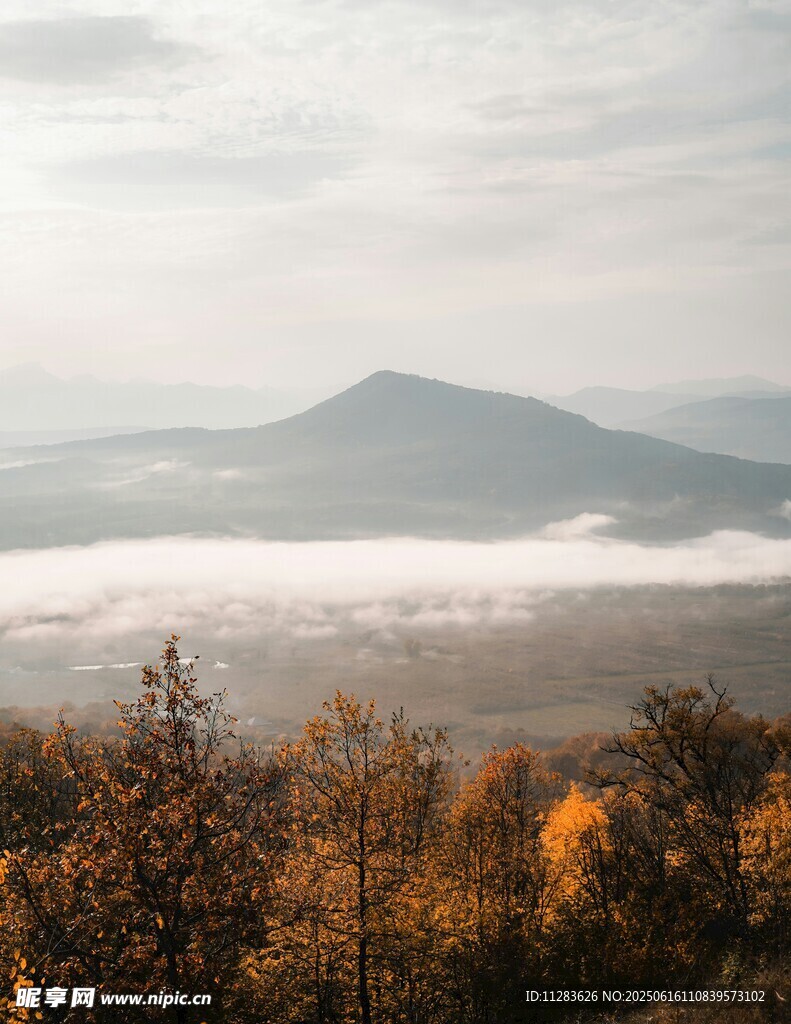 秋日山林云海美景